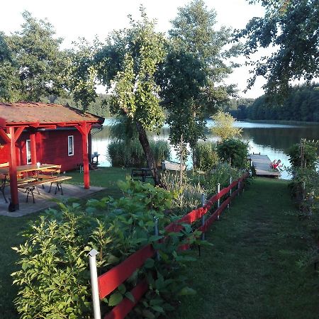 Agro-Tur Domki W Szuwarach Kuty Eksteriør billede