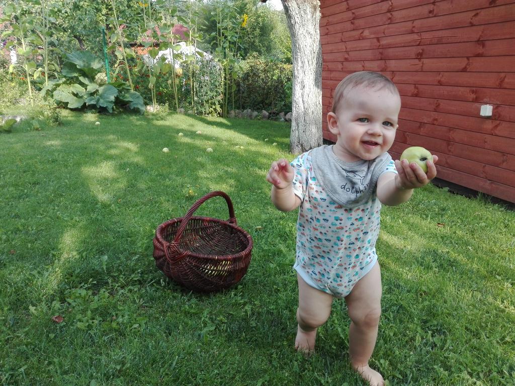 Agro-Tur Domki W Szuwarach Kuty Eksteriør billede