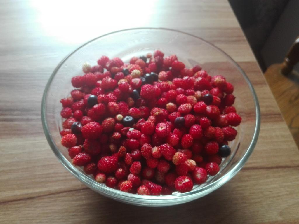 Agro-Tur Domki W Szuwarach Kuty Eksteriør billede