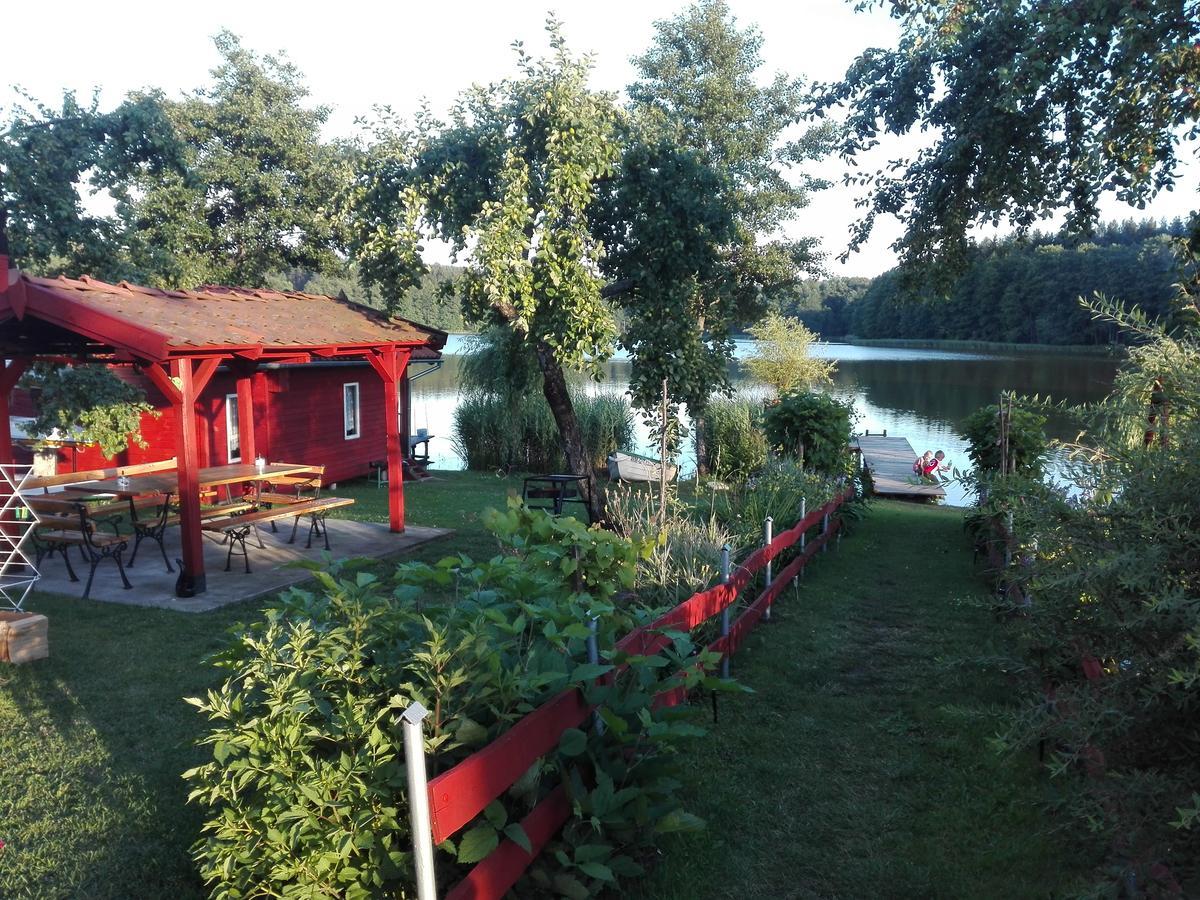 Agro-Tur Domki W Szuwarach Kuty Eksteriør billede