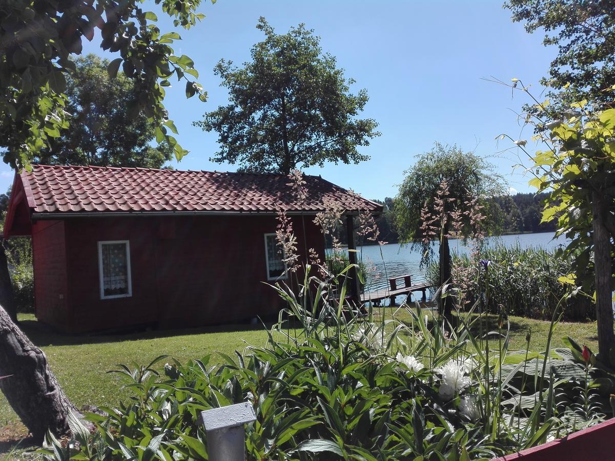 Agro-Tur Domki W Szuwarach Kuty Eksteriør billede